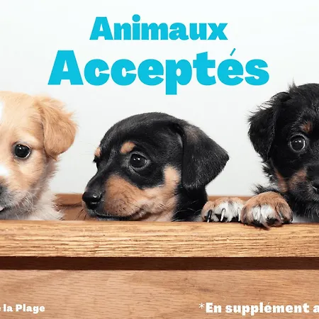 Vue Mer, 1 Chambre, 4 Pers, Animaux Admis - Fr-1-323-335 생장드몽