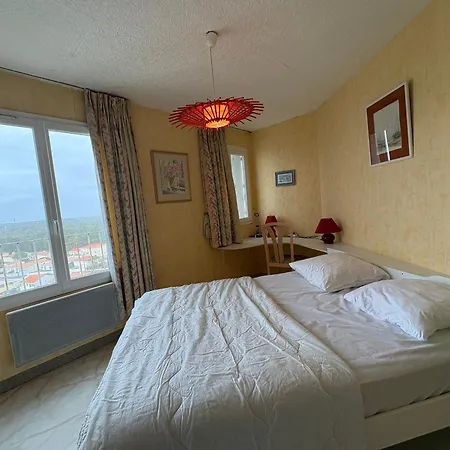 Vue Mer, 1 Chambre, 4 Pers, Animaux Admis - Fr-1-323-335